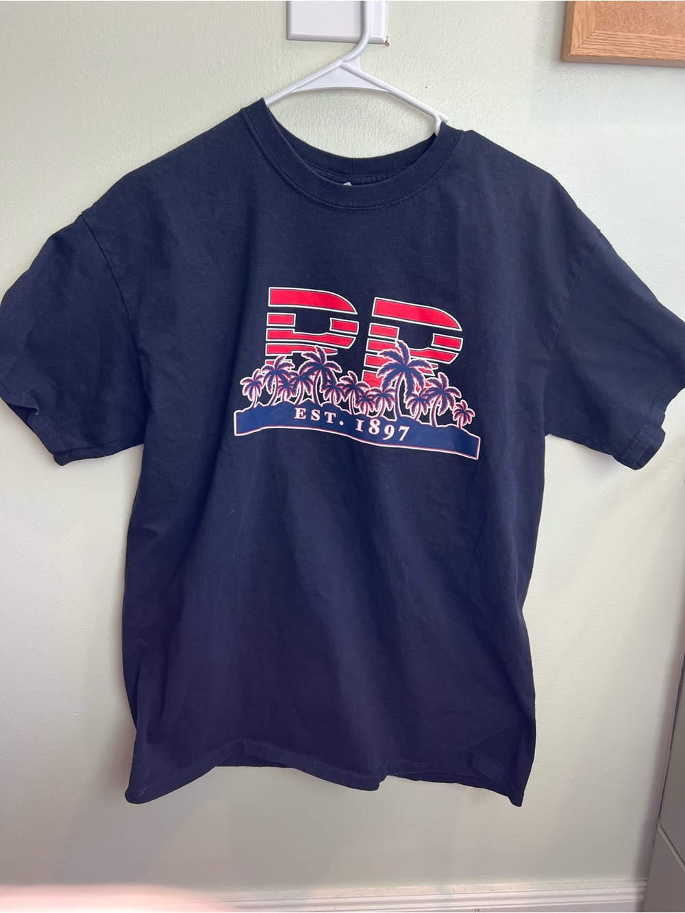 Navy Short-Sleeve Graphic Tee Puerto Rico